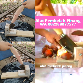 Alat pembelah pinang dan pemisah biji pinang