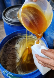 grosir madu