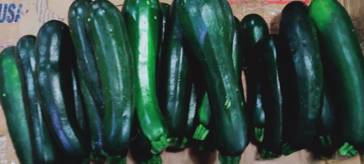 menjual sayuran cukini