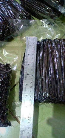 vanili atau flani dan tahiti kering dan basah ready to order