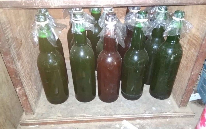 jual madu asli