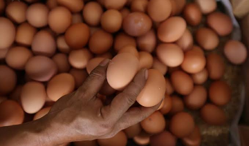 Telur ayam
