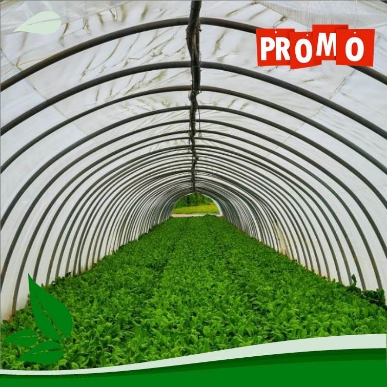 Jual Plastik UV Termurah dan Terlaris dengan Kualitas Terbaik