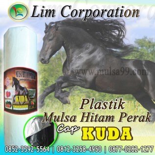  PLASTIK MULSA UNTUK TANAH BEDENGAN