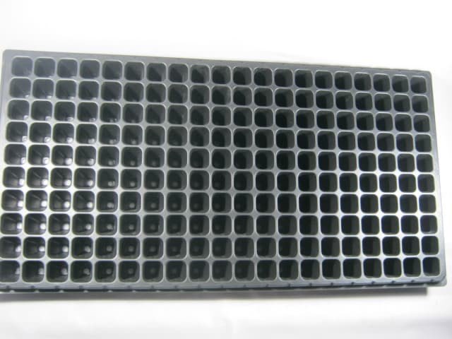 Tray Semai / Bibit Untuk Benih Tanaman (Bentuk Kotak kecil - kecil)