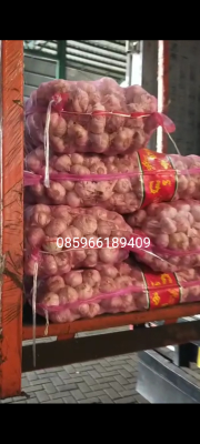Bawang Putih
