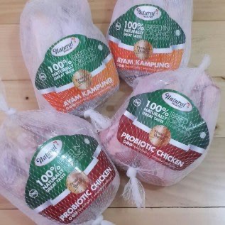 AYAM NEGERI PROBIOTIK NATURAL. AYAM SEHAT. AYAM DIKEMBANGBIAKAN SECARA ORGANIK