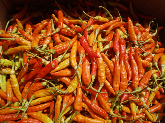 Cabe Rawit Merah RM sret Cabai Lombok setan Abang Dari Petani 1kg