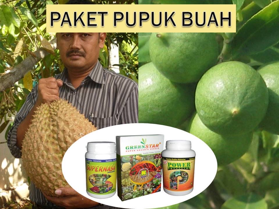 Paket Pupuk Power Nutrition untuk memperbesar, melebatkan & menambah kualitas buah