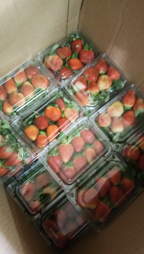 strawberry packing 200 gr