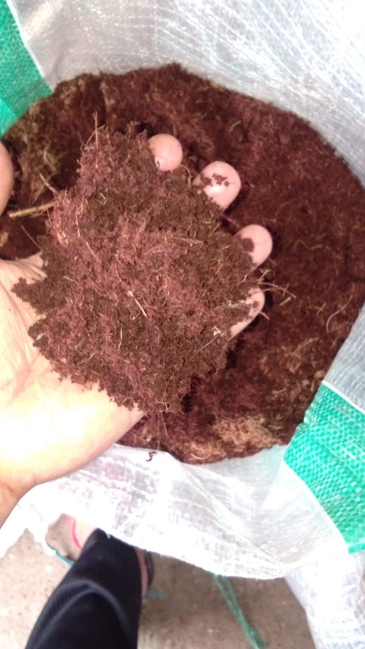 oCOCOPEAT
