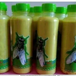 LEMUSKA (LEM LALAT BUAH)