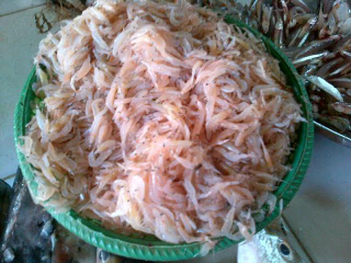 JUAL UDANG REBON BASAH DAN KERING, JUMLAH BESAR DAN CONTINUE