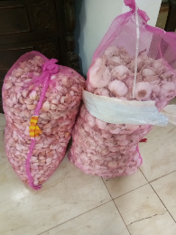 Bawang Putih Banci