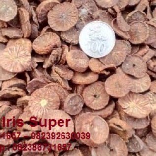 pinang super iris sumatera
