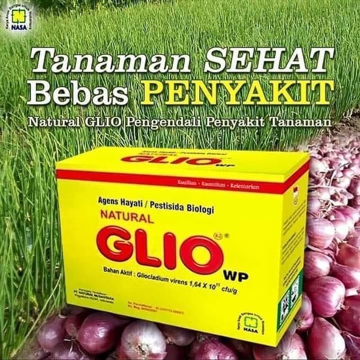 Pengendali Hama Gliocladium 100 gr