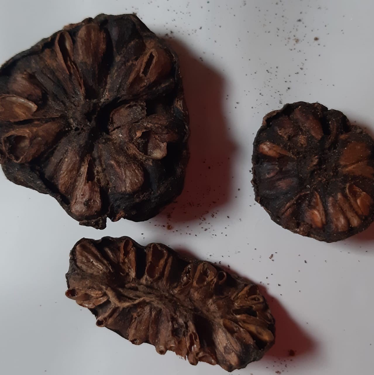 Mengkudu / Noni
