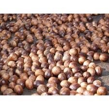 DISTRIBUTOR REMPAH-REMPAH BIJI PALA KERING 