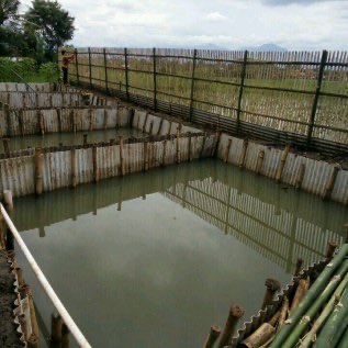Jual ikan lele konsumsi