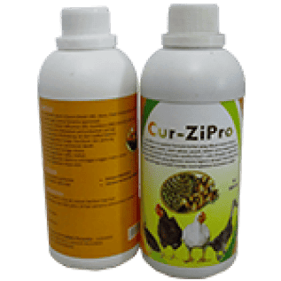 CurZipro - Obat herbal ayam untuk proteksi unggas anda.