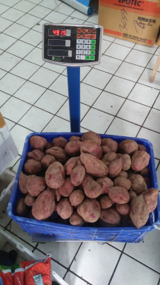 Ubi Jalar Ungu