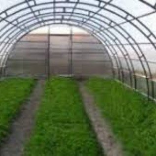 Jual Plastik UV Greenhouse Lokal & Import!!
