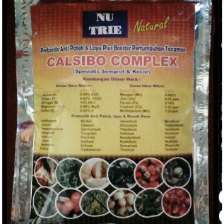CALSIBO COMPLEX