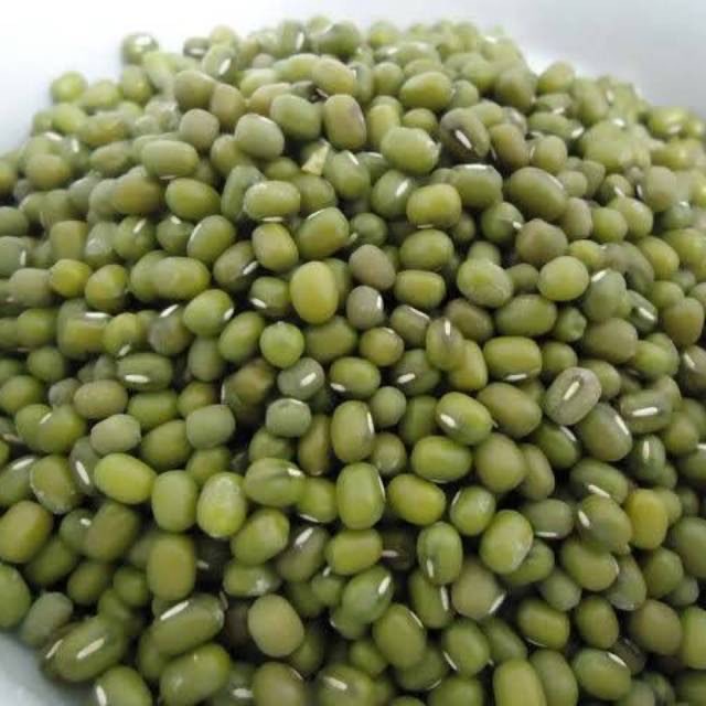KACANG HIJAU YULEK BURMA