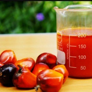 Menyediakan CPO (Crude Palm Oil) Kualitas Terbaik