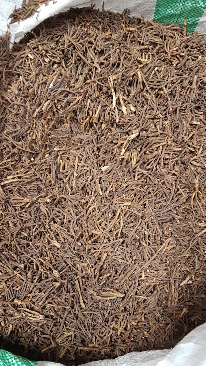 JUAL GAGANG CENGKEH EX SULING 