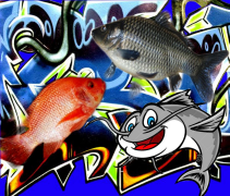 ikan lele