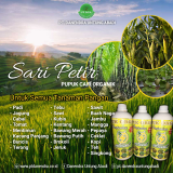 POC Sari Petir Kemasan 1 liter