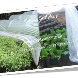 Distributor Plastik Sungkup