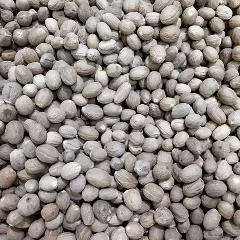 Biji pala super