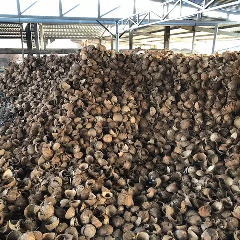 Batok kelapa