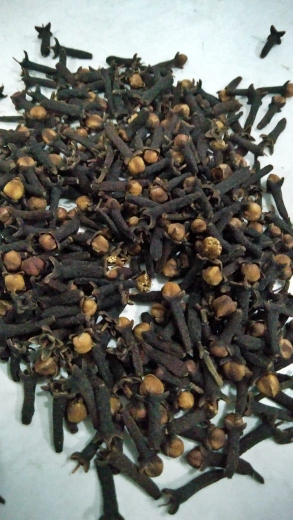 cengkeh Lalpari kwalitas eksport