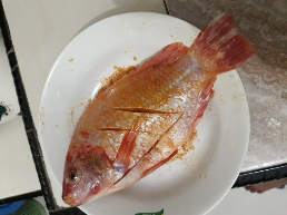 Ikan air tawar