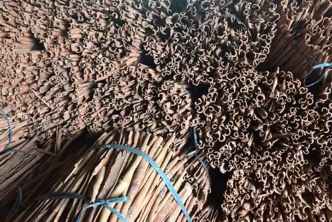 kayu manis