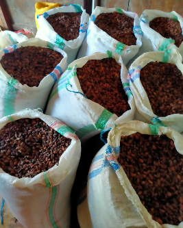 dijual kaokao