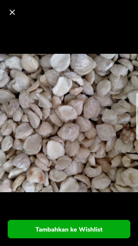 Kemiri Medan (Ladang Sendiri)