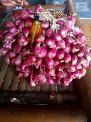 Bawang Merah Brebes