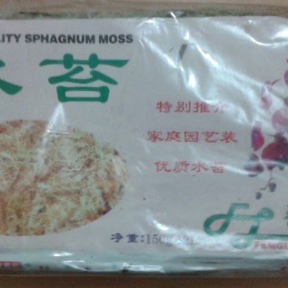 Jual Moss Import