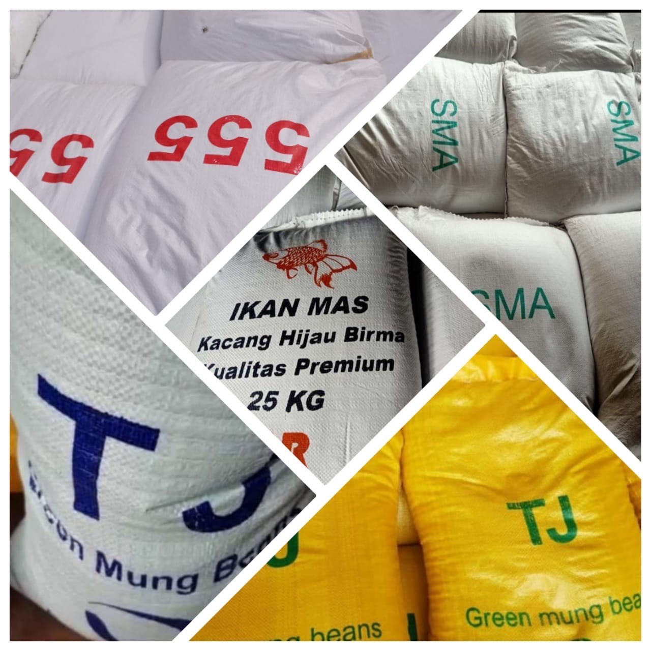 Kacang Hijau Toge Lokal dan Import Berkualitas