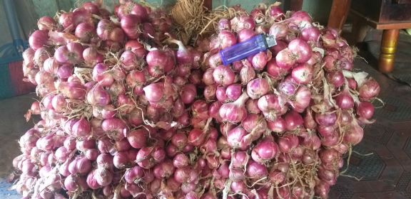 bawang merah super