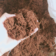 JUAL COCOPEAT
