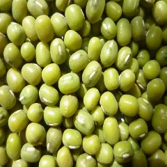 kacang hijau super murah
