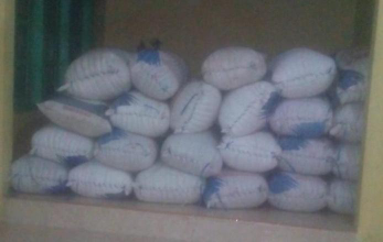 arang kelapa