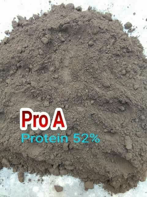 Pro A / Tepung Protein Pakan Ikan