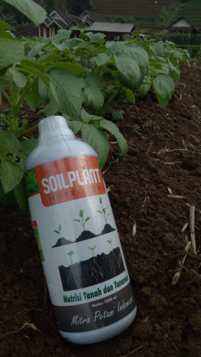 SOILPLANT