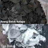 ARANG BATOK KELAPA / CHOCONUT SHELL CHARCOAL